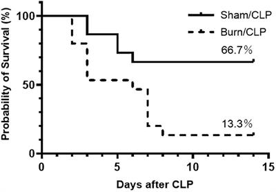 Neutrophil phenotypes implicated in the pathophysiology of post-traumatic sepsis